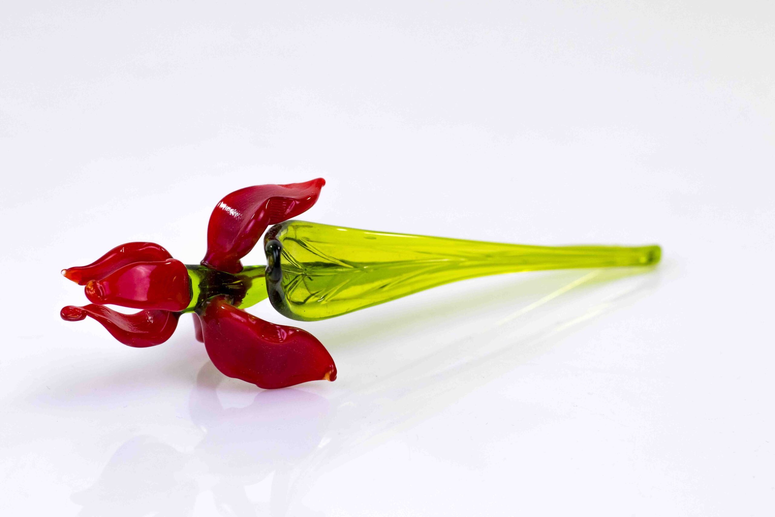 iris rood